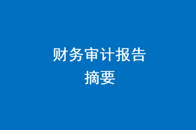 2025年度财务审计报告公开
